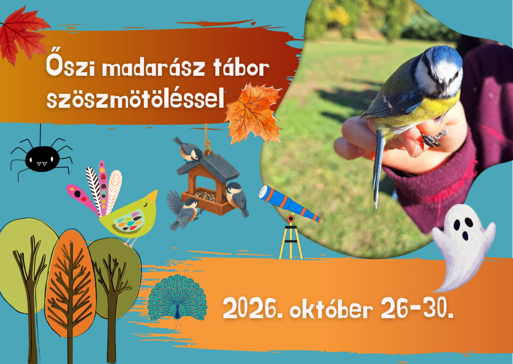 Őszi madarász tábor szöszmötöléssel